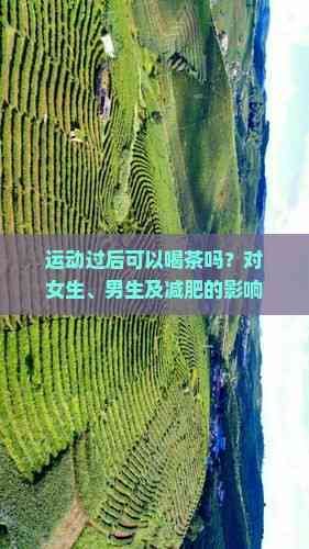 运动过后可以喝茶吗？对女生、男生及减肥的影响