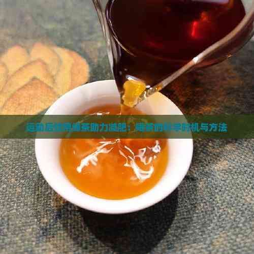 运动后饮用绿茶助力减肥：喝茶的科学时机与方法