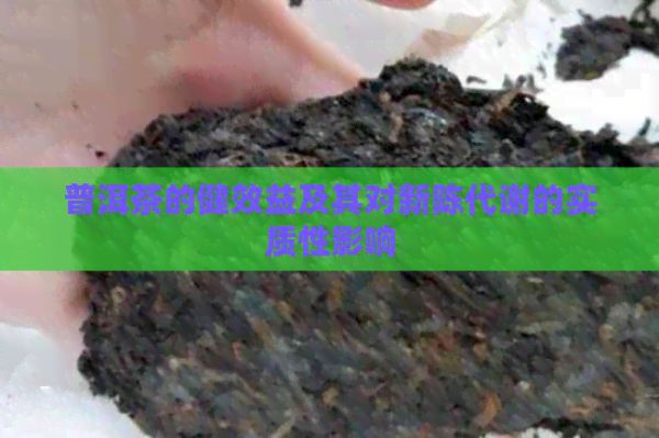 普洱茶的健效益及其对新陈代谢的实质性影响