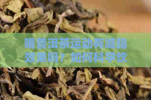 喝普洱茶运动有减脂效果吗？如何科学饮用普洱茶达到减肥效果