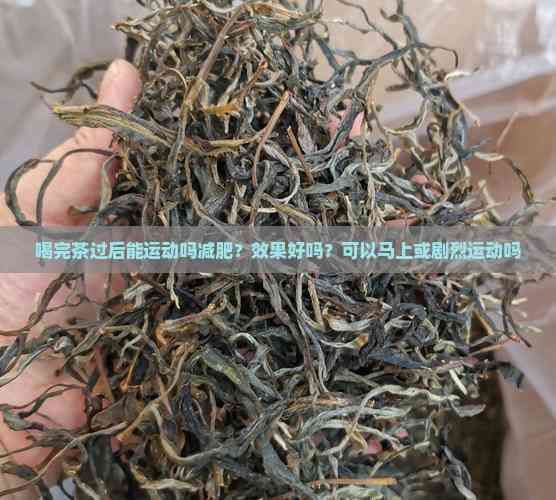 喝完茶过后能运动吗减肥？效果好吗？可以马上或剧烈运动吗