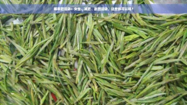 喝茶后运动：女生、减肥、剧烈运动，这些都可以吗？