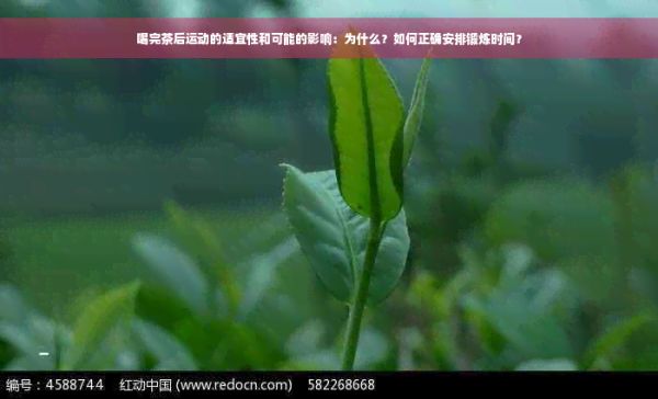 喝完茶后运动的适宜性和可能的影响：为什么？如何正确安排锻炼时间？