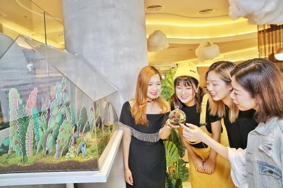 在美味觉醒体验馆里探寻黑松露的踪迹