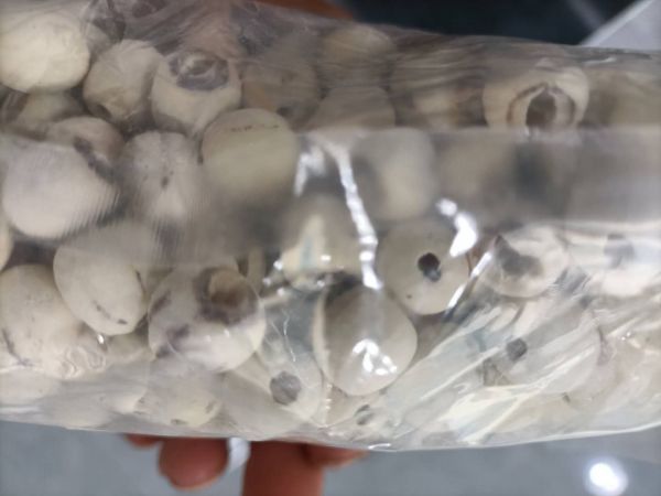 白莲子粉冲泡成品图