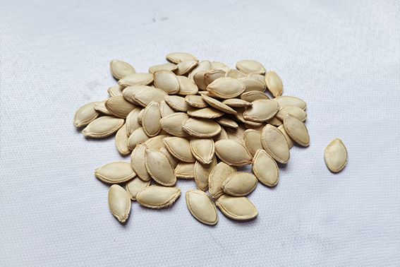 吃南瓜子有什么好處