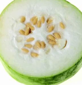 冬瓜子的功效與作用（藥用價(jià)值）-1