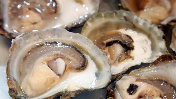 冬季如何保养五脏？推荐冬季养生食谱