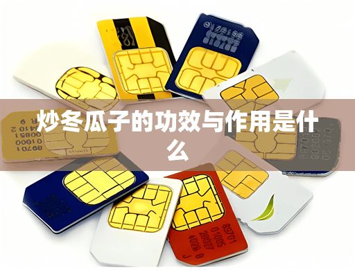 炒冬瓜子的功效与作用是什么