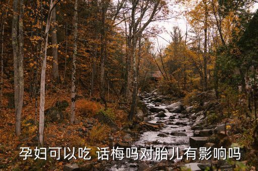  孕妇可以吃 话梅吗对胎儿有影响吗