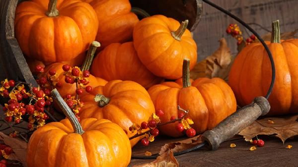 青少年飲食不當引起哪些問題