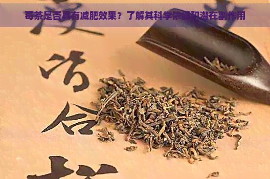 莓茶是否具有减肥效果？了解其科学依据和潜在副作用