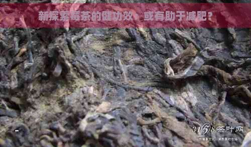 新探索莓茶的健功效：或有助于减肥？