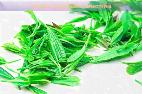 男性健饮品：探索莓茶在减肥方面的潜力与作用