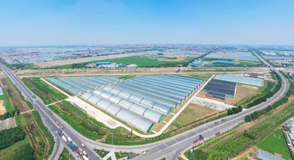 寿光市丹河设施蔬菜标准化生产示范园鸟瞰图。受访者供图