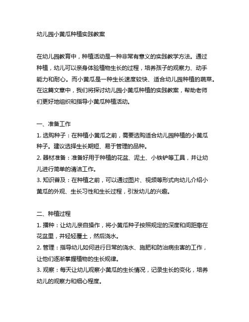 幼儿园小黄瓜种植实践教案