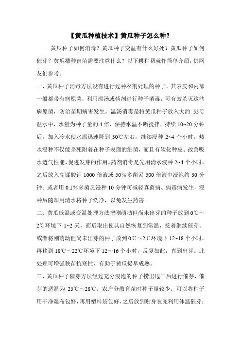 【黄瓜种植技术】黄瓜种子怎么种？