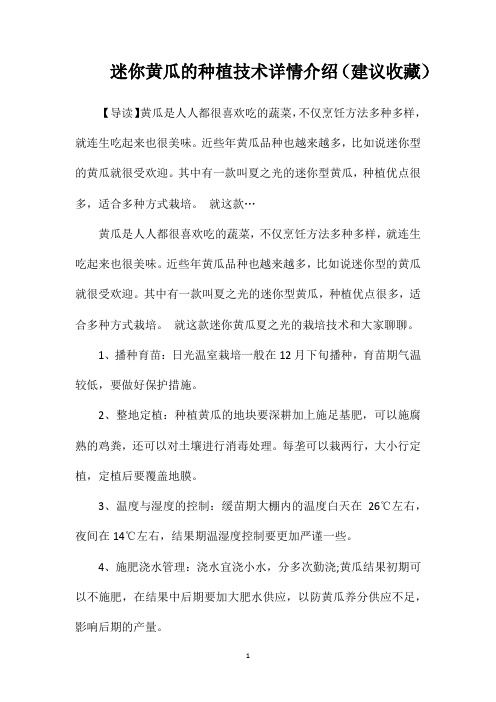迷你黄瓜的种植技术详情介绍(建议收藏)