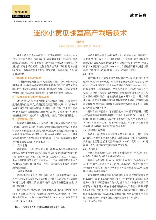迷你小黄瓜棚室高产栽培技术