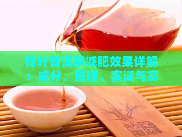 荷叶普洱茶减肥效果详解：成分、原理、实证与实用指南