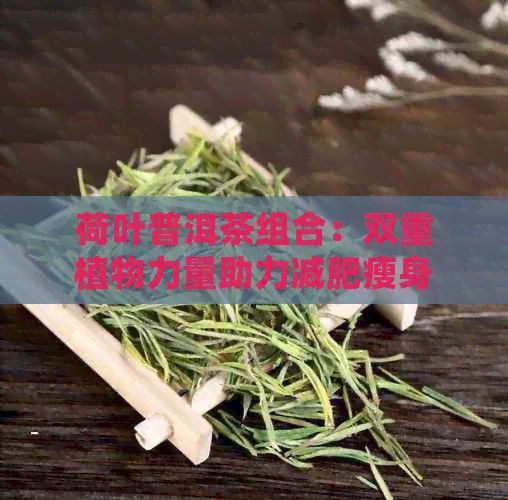 荷叶普洱茶组合：双重植物力量助力减肥瘦身