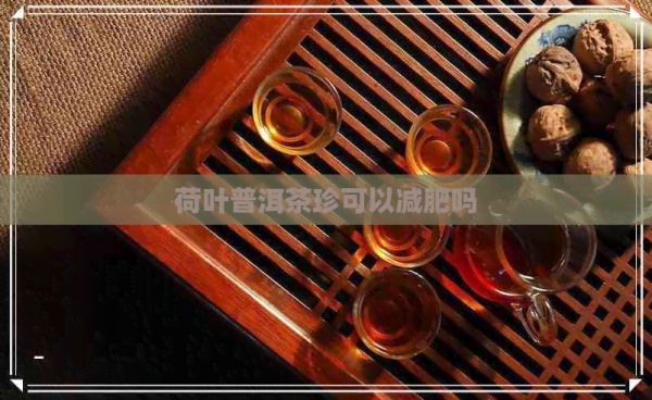 荷叶普洱茶珍可以减肥吗