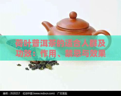 荷叶普洱茶的适合人群及功效：作用、禁忌与效果概述