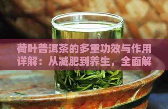 荷叶普洱茶的多重功效与作用详解：从减肥到养生，全面解答您的疑问