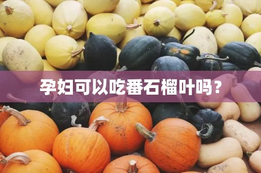 孕妇可以吃番石榴叶吗？