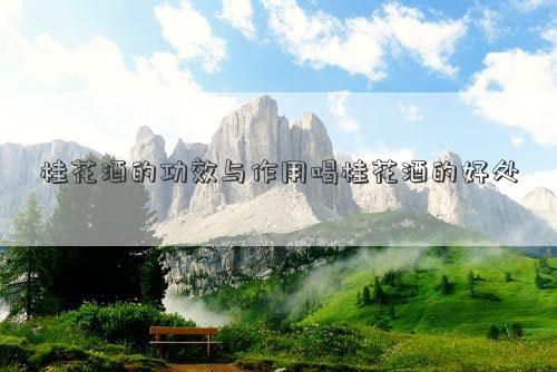 桂花酒的功效与作用喝桂花酒的好处