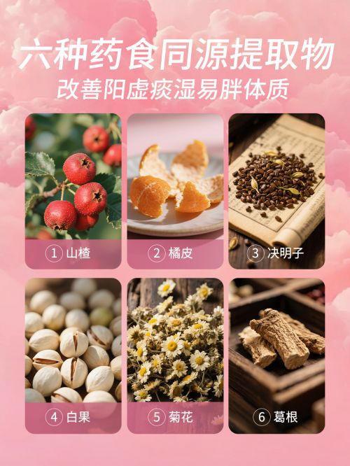 據(jù)國民健康警報(bào)拉響！新一代高纖魔芋乳粉窈可麗重磅上市破解代餐困局?