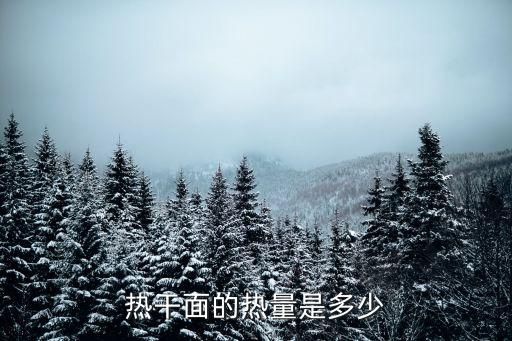 热干面的热量是多少