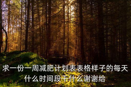 求一份一周减肥计划表表格样子的每天什么时间段干什么谢谢给