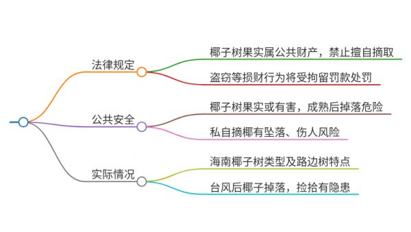 海南路边椰子树可以摘吗