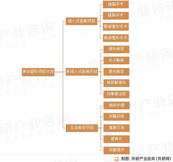美体塑形项目分类