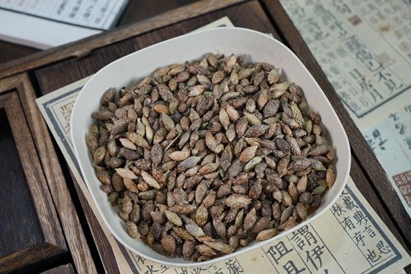 苍耳子的功效与作用详解