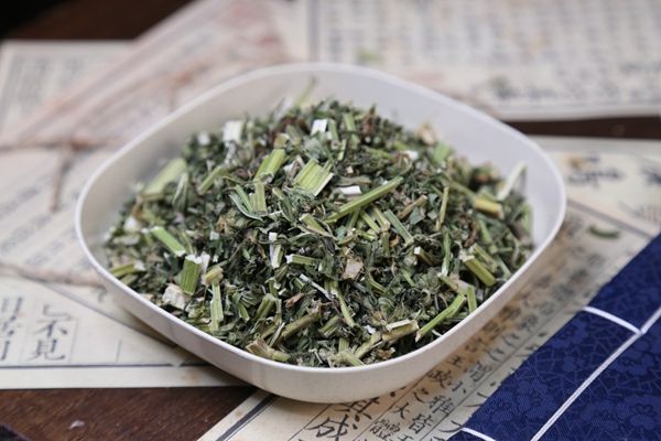 益母草的3大功效与作用 益母草对女性的好处 益母草主要功效概述