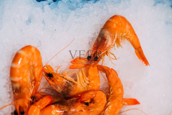许多鲜虾都是用小冰块浸泡的。食物保存照片摄影图片