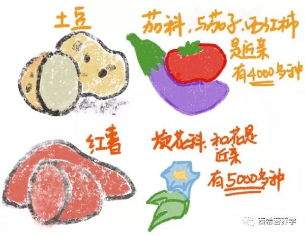 春雨医生