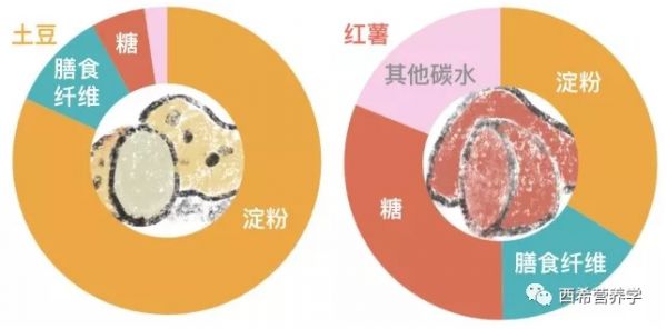 春雨医生