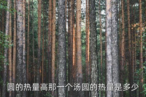 圆的热量高那一个汤圆的热量是多少