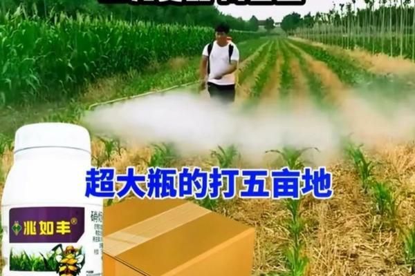 芦笋怎么种植方法视频教程 芦笋根的种植方法和时间