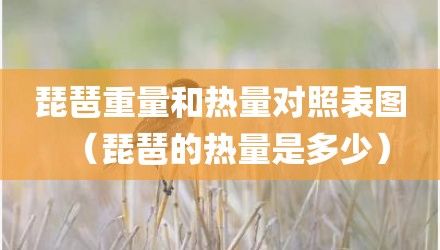 琵琶重量和热量对照表图（琵琶的热量是多少）