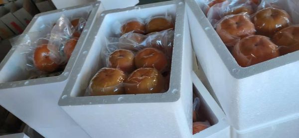 柿子与健康饮食搭配示意图