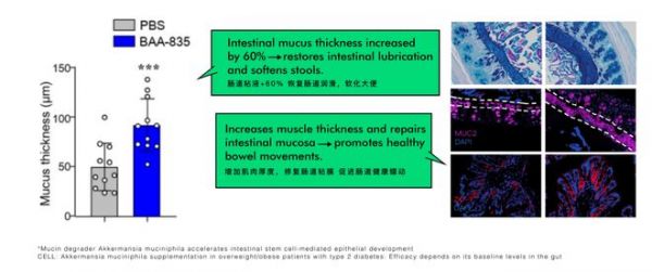 引入新一代明星菌株AKK菌 Moms Garden百草园AKK益生菌助力肠道健康屏障升级
