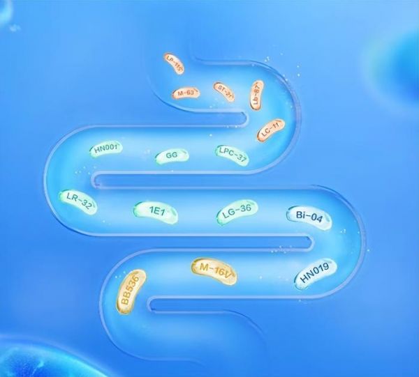 lifespace益生菌多菌株配方更有效