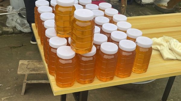 蜂蜜白糖白醋调制饮品图