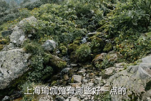 上海瑜伽馆有哪些好一点的