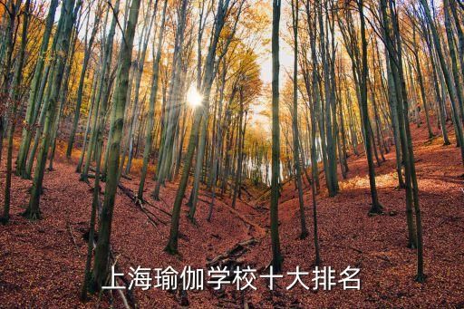 上海瑜伽学校十大排名