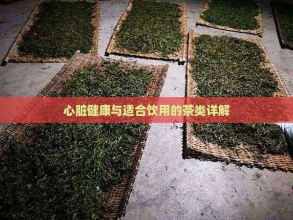 心脏健康与适合饮用的茶类详解